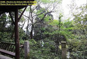 Chengdu avril 2017 - 083